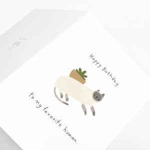 Cat, Happy Birthday | Eco-Friendly Greeting Card